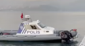 Bu gönderiyi Instagram'da gör izmir'de Çevirme Radar (@izmirdecevirme)'in paylaştığı bir