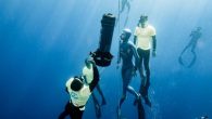 The small French Riviera town of Villefranche-sur-Mer is a hotspot for the professional freediving community. It was there last summer that Arnaud Jerald tried to break the world record for bi-fin freediving, aiming to reach 111 metres underwater with a […]