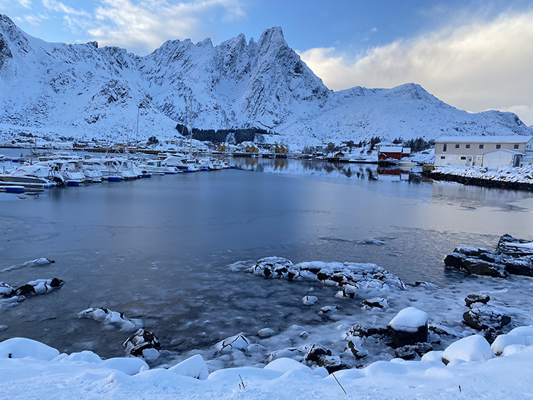 Norveç’te dalış yapan akademisyen deniz kestanelerinin yosun ormanlarındaki istilasını görüntüledi.