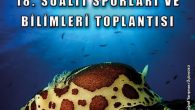MAVİ PAYLAŞIM 2020 18. SUALTI SPORLARI VE BİLİMLERİ TOPLANTISI BİLDİRİ YAZIM KURALLARI Mavi Paylaşım 2020′de yayınlanacak bildiriler 1 Mayıs 2020 tarihine kadar mavipaylasim2020@gmail.com adresine gönderilmelidir. İÇERİK MAVİ PAYLAŞIM 2020’de yer alacak bildiriler özgün olmalıdır. Bildiriler, Bilim Kurulu tarafından değerlendirilecek ve […]