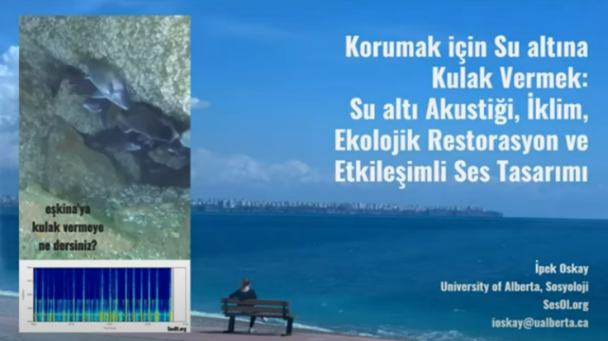 Su altında fotoğraf ve akan görüntü kaydetmek profesyonel ya da