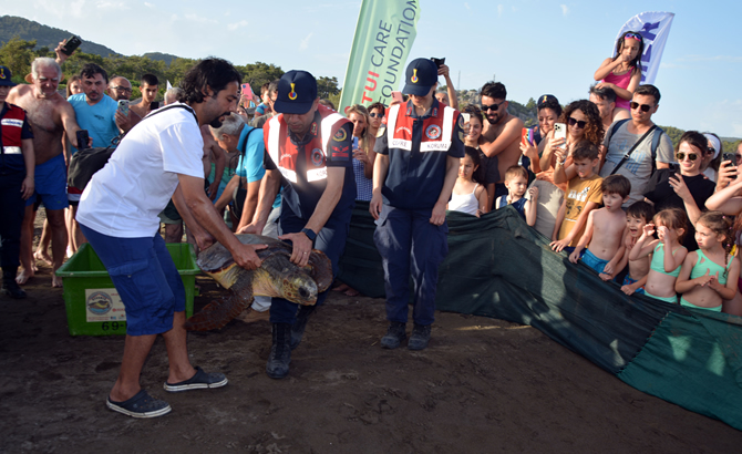 Muğla’daki Deniz Kaplumbağaları Araştırma, Kurtarma ve Rehabilitasyon Merkezi’nde (DEKAMER) tedavileri