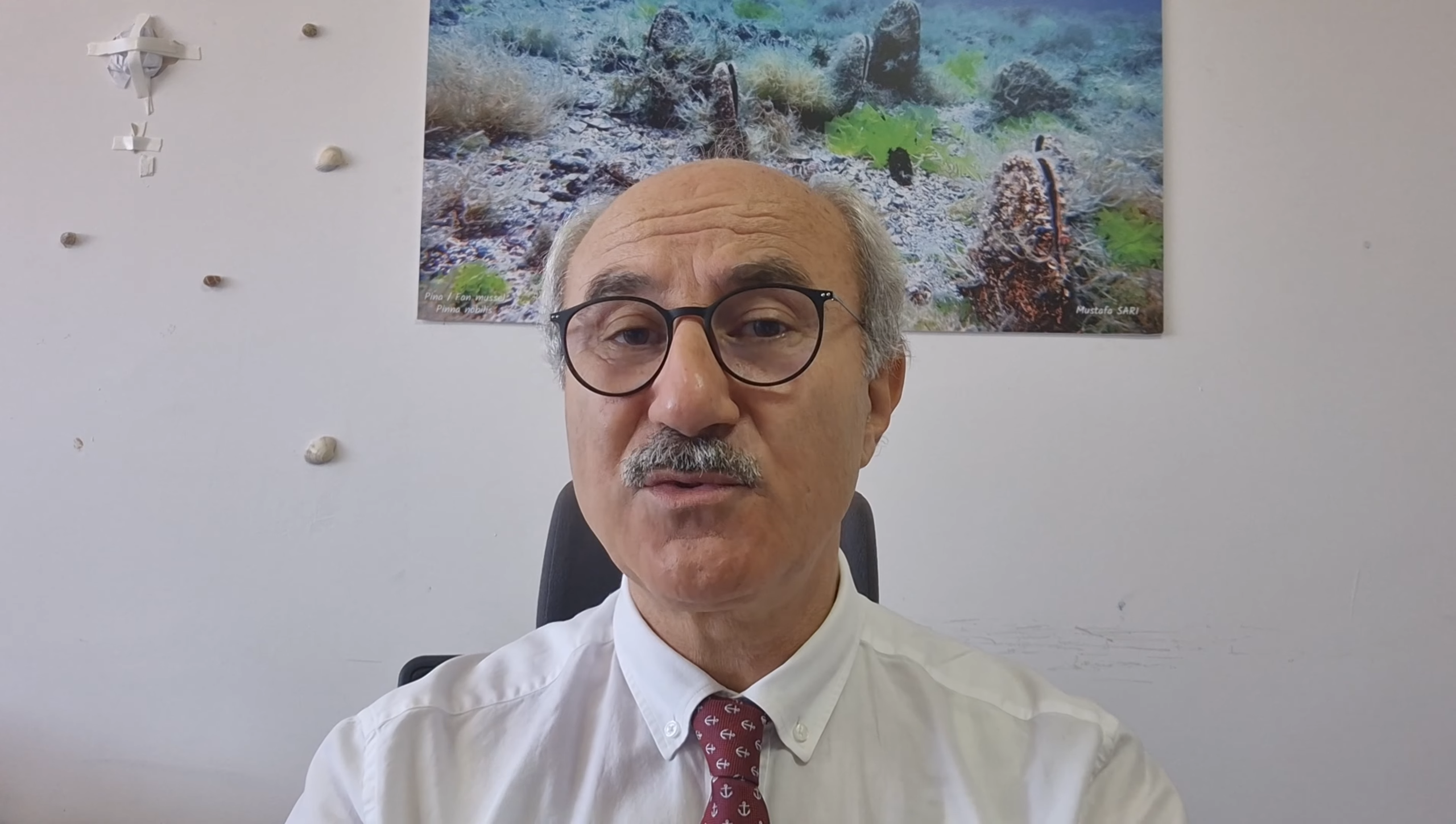 MARMARA DENİZİ’NİN YENİ KISIR DÖNGÜSÜ: MÜSİLAJ! 2021 yılında gerçek anlamda
