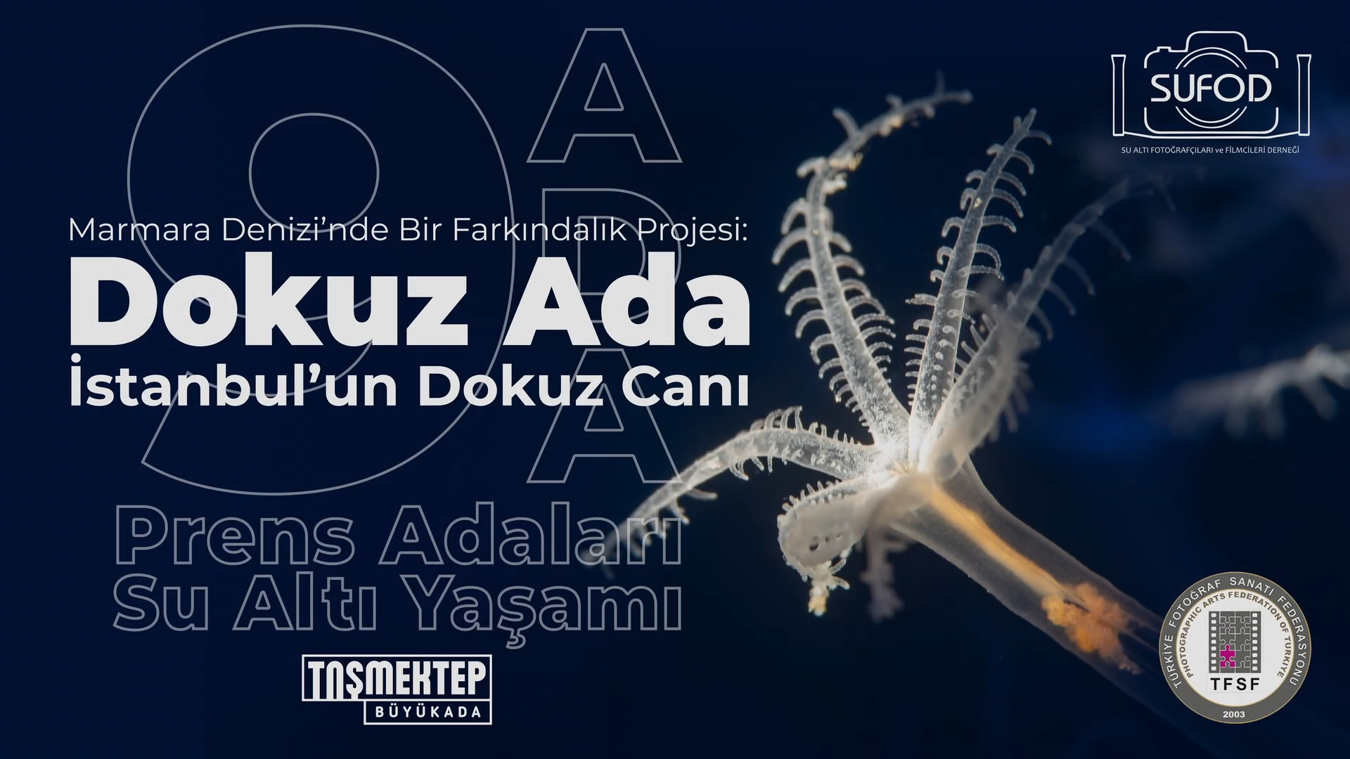 Dokuz Ada İstanbul’un Dokuz Canı projemiz son noktaya yaklaşıyor, sergi