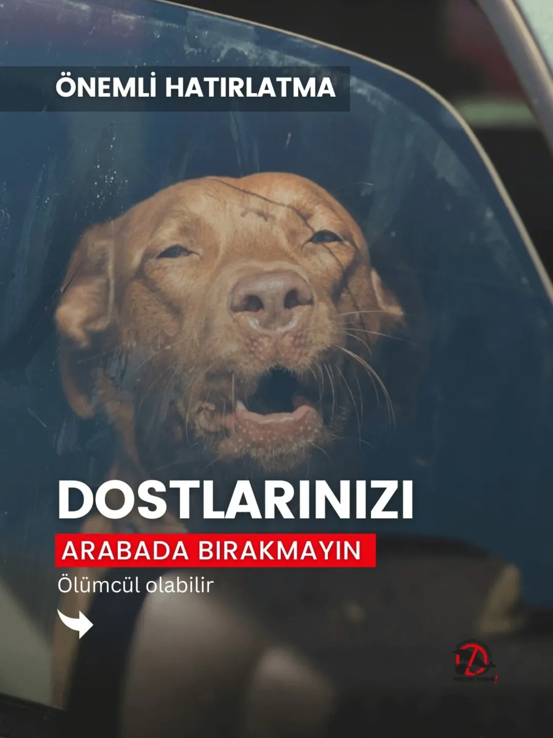 ⚠️ Önemli hatırlatma: #HayvanlarıArabadaBırakma
Çünkü ölüm ve yaşam arasındaki zaman dilimi