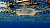 Bilim insanları, doğada çözünmeyen ve kirliliğe yol açan plastikleri çözebilecek bir enzim geliştirdi. Plastik şişelerde kullanılan PET’lerin doğada çözünmesi yüzlerce yıl sürebiliyor. Fakat PETase adlı enzim sayesinde plastikleri birkaç gün içinde çözündürmek mümkün olabilir. Bu plastik geri dönüşümünde bir devrim […]