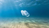 Karadeniz´e kıyısı olan Türkiye, Gürcistan, Romanya ve Bulgaristan; Karadeniz’i tehdit eden deniz çöpleri ve mikroplastik kirliliği için ortak çalışma başlattı. Her yıl yaklaşık 7 milyon ton yeni deniz çöpü ile plastik atıkların mikron boyutlara dönüşerek tehdit ettiği Karadeniz ekosistemi için […]