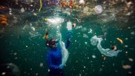 Şebnem Coşkun, a Turkish photojournalist from Anadolu Agency (AA), won the first prize in the Nature and Environment category and the finalist award in the Photographer of the Year, Asia category at the Pictures of the Year (POY) Asia, a […]