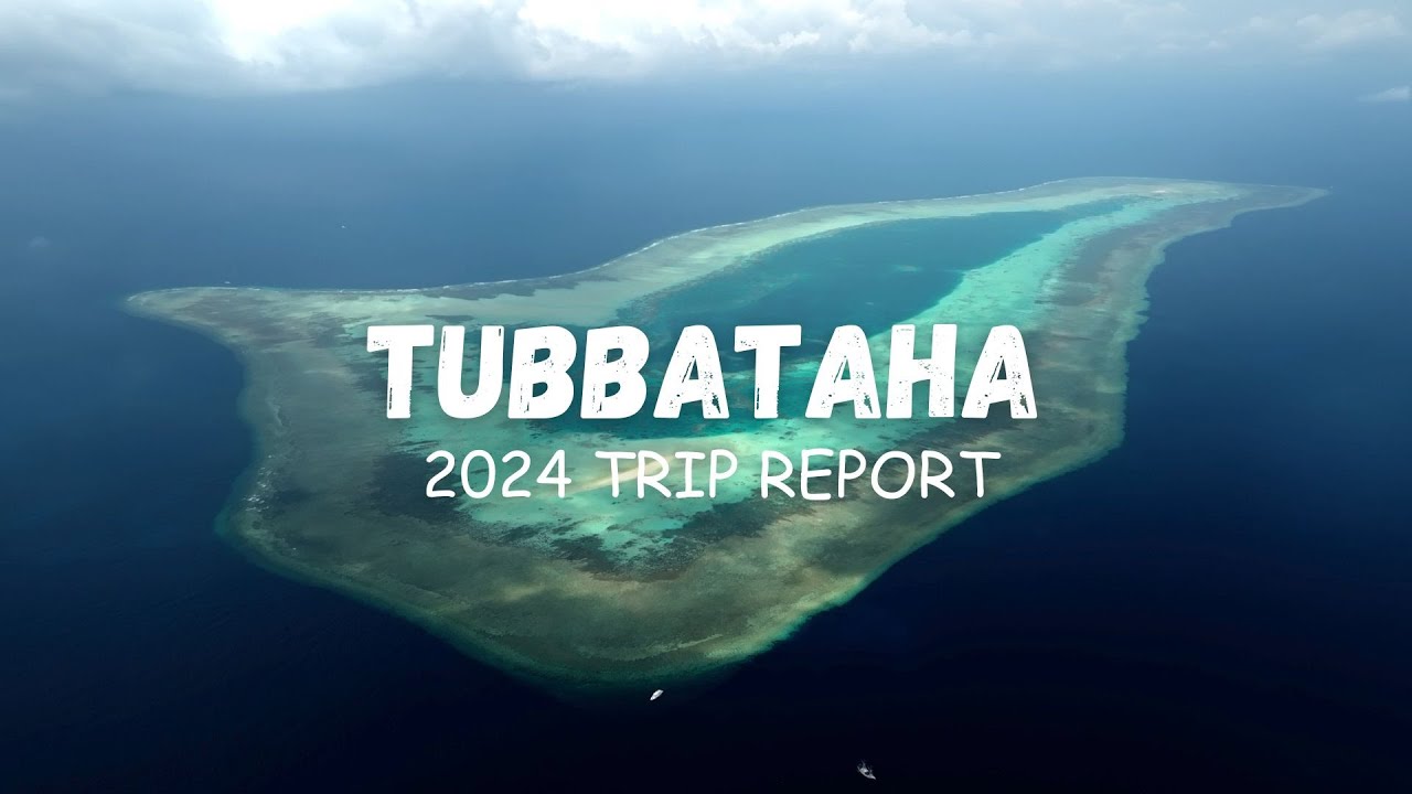 Full trip report from a 7 day liveaboard expedition to