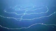 Hint Okyanusu’nda yeni bir deniz canlısı keşfedildi. Bilim insanları canlının 50 metre uzunluğunda olduğunu açıkladı. Hint Okyanusu’ndaki Ningaloo kanyonunda 50 metre uzunluğunda bir deniz canlısı bulundu. Söz konusu canlı binlerce yırtıcı sualtı kolonilerinden oluşuyor. Bilim insanları uzun bir ip biçiminde […]