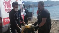 Muğla’nın Bodrum ilçesinde vatandaşlar tarafından fark edilen yaralı caretta caretta cinsi deniz kaplumbağasının yardımına Petbulance ekibi yetişti. Yalıkavak Mahallesi Küdür Mevkiinde geçtiğimiz günlerde ağa takılan yaralı bir caretta caretta kurtaran Gökhan Soygüder isimli vatandaşa, bugün gelen bir telefonla bölgede bir […]
