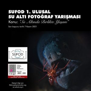 SUFOD