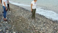 Doğu Akdeniz’in önemli deniz kaplumbağası yuvalama merkezlerinden Mersin’de, yavruların mavi sularla buluştuğu kumsalda temizlik yapıldı. AK Parti Erdemli İlçe Başkanlığınca başlatılan “Temiz çevre hareketi” etkinliği kapsamında, deniz kaplumbağalarının üreme alanlarından Alata Bahçe Kültürleri Araştırma Enstitüsü kumsalı temizlendi. Mersin Üniversitesi (MEÜ) […]