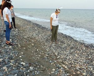 Doğu Akdeniz’in önemli deniz kaplumbağası yuvalama merkezlerinden Mersin’de, yavruların mavi