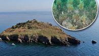 Marmara Denizi’nde yaşayan balıklara, nadir mercanlara ev sahipliği yapan Neandros adası ve çevresi gırgır avcılığı nedeniyle tehlike altında. Çevreciler, İstanbul’un ekosistemi için çok önemli yeri olan halk arasında “Tavşan Adası” olarak bilinen Neandros Adası ile çevresinin her türlü avcılığa kapatılmasını […]