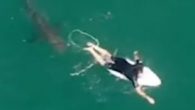 Avustralya’da profesyonel sörfçü, bölgede bulunan drone sayesinde köpek balığı saldırısından kurtarıldı. Avustralya’nın Yeni Güney Galler eyaletindeki Sharpes Plajı yakınlarındaki Ballina açıklarında dün profesyonel sörfçü Matt Wilkinson sörf yapmak için açıldı. Wilkinson, dalgaları yakalamaya çalıştığı sırada beyaz bir köpekbalığı tarafından takip […]