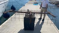 Çeşme Sahil Güvenlik Komutanlığı ile Çeşme İlçe Tarım ve Orman Müdürlüğü ile işbirliği içerisinde izinsiz avlanan deniz patlıcanlarının marina deniz sahasında hayata döndürme projesi başarıyla devam ediyor. Çeşme Marina dalış ekibi, gerçekleştirmiş olduğu son kontrollerde marina sularına bırakılan deniz patlıcanlarının […]
