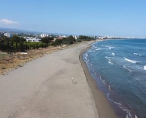 Hatay’ın Samandağ ilçesinde, 14 kilometrelik sahile yeşil deniz kaplumbağaları ve