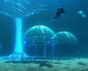 Dünyanın ilk su altı çiftliği olan ‘Nemo’s Garden’, uzun bir