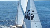 Doğal Hayatı Koruma Vakfı (WWF) Türkiye Genel Müdürü Aslı Pasinli, “Denizle ilişkili faaliyetlerden yılda 450 milyar dolarlık değer yaratan Akdeniz’in kaynaklarını gelecek nesillere aktarmak istiyorsak acilen harekete geçmemiz gerekiyor” dedi. Dünyanın en çok turist çeken bölgelerinden biri olan Akdeniz aynı […]