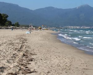 Deniz kaplumbağalarının yuvalama alanı dışında olan Aydın bölgesinde Didim Parlamenterler