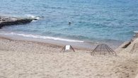 Caretta carettaların en önemli üreme bölgelerinden olan Alanya’da, caretta caretta yavruları yumurtadan çıkarak denizle buluştu. ALÇED Başkanı Şerefnur Kayhan, “Tespit ettiğimiz 500’ün üzerinde yuva var” dedi. Türkiye’de caretta carettaların yoğun üreme bölgelerinin başında gelen Alanya plajlarında, tespit edilerek koruma altına […]