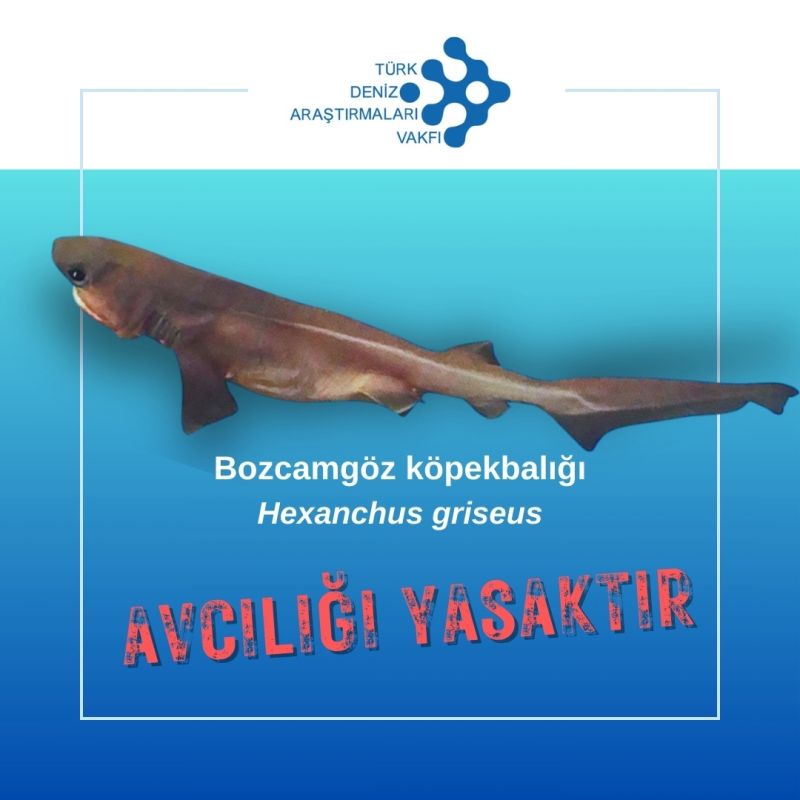 TUDAV Duyuru