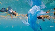 Boğaziçi Üniversitesi Çevre Bilimleri Enstitüsü ve WWF Türkiye’nin (Doğal Hayatı Koruma Vakfı) hazırladığı “Türkiye’de Plastik Atık Sorunu ve Politika Önerileri” raporuna göre, her yıl 11 milyon ton plastik atık denize karışıyor. Türkiye; Mısır ve İtalya’dan sonra Akdeniz’e en çok plastik […]