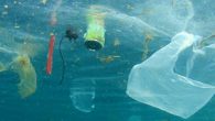 Rusya, BM’nin Hazar Denizi’ndeki plastik kirliliğiyle mücadele amacıyla başlattığı program için 4 milyon dolar kaynak ayrılmasını öngören talimat yayımladı. Rusya’da hükümet, Birleşmiş Milletler’in (BM) Hazar Denizi’ndeki plastik kirliliğiyle mücadele programına kaynak ayırma kararı aldı. Yayınlanan talimatta, “2021-2024’te federal bütçe harcamalarından […]
