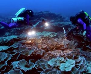 Deniz kaşifleri, Fransız Polinezyası Tahiti kıyılarında 30 metre derinlikte bozulmamış
