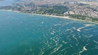 Çanakkale Boğazı’nda düzenli dalış yapan Prof. Dr. Mustafa Sarı, geçen yılki müsilajın etkilerinin devam ettiğini, bu yıl da müsilaj oluşumu için tüm şartların oluştuğunu söyledi. Geride bıraktığımız yılın ilkbahar aylarında, İstanbul Boğazı, Marmara Denizi ve Çanakkale Boğazı üzerinde, deniz dibinde […]