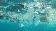 Bu ay Nairobi’de gerçekleşecek BM Çevre Meclisi’nde dünya hükümetleri plastik kirliliğiyle mücadeleye yönelik ilk küresel anlaşmaya giden yolu tartışacaklar. Bu ay Nairobi’de dünya hükümetleri plastik kirliliğiyle mücadeleye yönelik ilk küresel anlaşmaya giden yolu tartışacaklar. 28 Şubat – 2 Mart tarihleri […]