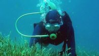 Akdeniz Koruma Derneği, Güneybatı Kıyıları Denizel Ekosistem Restorasyonu isimli projede, tekne çapası zararının deniz çayırı üzerindeki tehdit boyutunun yanı sıra küresel iklim değişimine karşı dayanıklılığının belirlenmesi için izleme çalışması yürütüyor. Gökova Körfezi’nde uluslararası protokollere uygun olarak kurulan izleme istasyonları, deniz […]