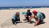 Deniz kaplumbağalarının yuvalama sezonunun başlamasıyla Antalya’nın dünyaca ünlü, birleşik kumsallar Çıralı ve Olimpos ile Patara kumsalına saat 20.00’den gün doğumuna kadar giriş yasaklandı. Eylül sonuna kadar sürecek yasağa uymayanlara 109 bin 785 TL ceza uygulanacak. Dünya Doğayı Koruma Birliği’nin (IUCN) […]