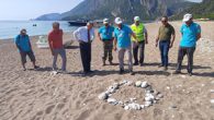 Antalya’nın Kemer ilçesi Çıralı sahilinde bu sezonun ilk caretta caretta yuvası tespit edildi. Kafes konularak korumaya alınan yuvayla birlikte Çıralı’da caretta caretta sezonu başladı. Dünya Doğayı Koruma Birliği’nin (IUCN) kırmızı listesinde nesli tükenme tehlikesi altındaki türler arasında bulunan caretta caretta […]