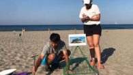 Antalya’nın Kaş ilçesindeki ünlü Patara Plajı’nda nesli tükenmekte olan caretta carettalar gözlemlenirken yuvaları da korumaya alınıyor. Geçen yıl 316 yuvadan 18 bin yavrunun denize ulaştığı plajda, bu yıl 86 yuva tespit edildi. Caretta carettaların Türkiye’deki 22 yuvalama alanından biri Kaş […]