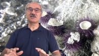 Bandırma Onyedi Eylül Üniversitesi Denizcilik Fakültesi Dekanı Prof. Dr. Mustafa Sarı, Marmara Denizi’ni bekleyen yeni tehlikeye dikkat çekti. Marmara Denizi’nde yapılan kaçak denizkestanesi avcılığı, deniz ekosistemini riske sokmaya başladı. Bir kısmı veya tamamı su içinde yaşayan, suda serbest yüzen ve […]
