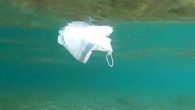 Karadeniz’in kıyı şeridinde mikroplastik kirliliği araştırıldı. Proje yürütücüsü Karadeniz Teknik Üniversitesi Sürmene Deniz Bilimleri Fakültesi öğretim üyesi Dr. Yahya Terzi, İstanbul-Artvin arasında 15 farklı plastik türüne rastladıklarını belirtti. Deniz çöpleri ve mikroplastik kirliliğini incelemek üzere Trabzon Karadeniz Teknik Üniversitesi Sürmene […]
