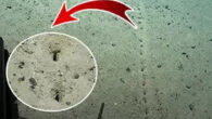 Ulusal Okyanus ve Atmosfer İdaresi, okyanus tabanında keşfedilen deliklere ilişkin “Neredeyse insan yapımı gibi görünüyorlar” diyor. ABD’li kaşifler, okyanus yüzeyinin yaklaşık 2.6 kilometre altında uzanan deniz tabanında açılmış bir grup gizemli ve kusursuz biçimde hizalanmış delik keşfettiler ve bunları kimin […]