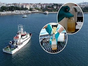 Marmara’da incelemelerde bulunan 9 bilim insanı, denizin alt tabakasında oksijenin