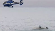 Yeni Zelanda’da Güney Adaları’nın Kaikoura kasabası açıklarında bir tekne alabora oldu. Teknenin alabora olmasına ise su yüzüne çıkmak isteyen bir balina neden oldu, olayda 5 kişi hayatını kaybetti, 6 kişi ise kurtarıldı. Yeni Zelanda’nın Güney Adası’nın doğu kıyısında yer alan […]