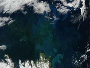 NASA uyduları, iklim değişikliğinin deniz ekosistemlerini bozması nedeniyle okyanusların yarısından