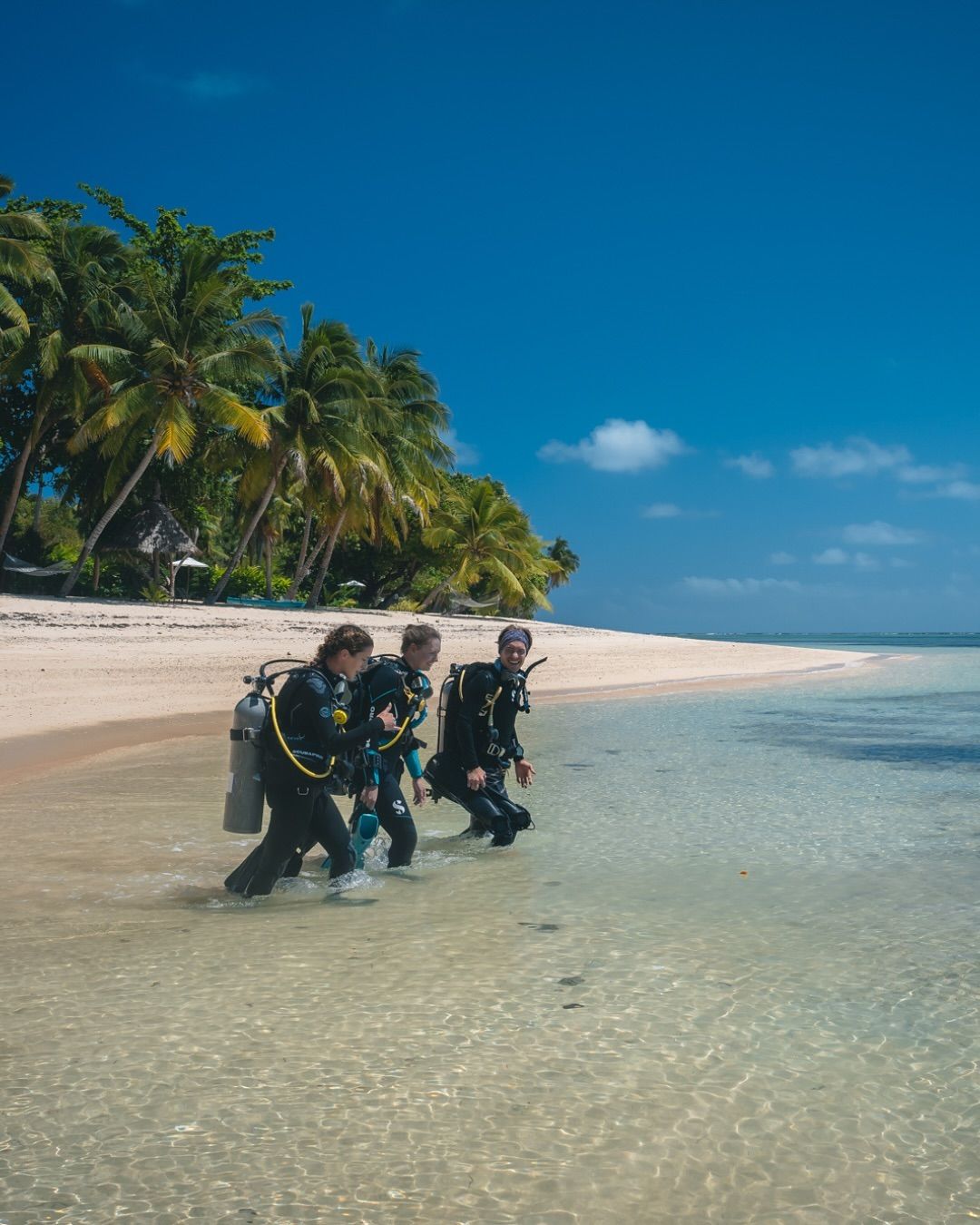 Dalışa başlamak istiyorsunuz da ne zaman başlasam sorusuna cevap bulamıyorsunuz