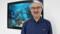 Bandırma Onyedi Eylül Üniversitesi Denizcilik Fakültesi Dekanı Prof. Dr. Mustafa Sarı, mevsim normallerinin üzerinde seyreden sıcaklık ve kirliliğin, Marmara Denizi’nde denizanası popülasyonunu arttırdığını söyledi. Prof. Dr. Sarı, gazetecilere yaptığı açıklamada, denizde herhangi bir canlı topluluğunun hızla artmasının insanların denizle yanlış […]