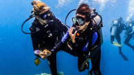 Bali’de kıyıda bir dalış için hazırlandık, kuşandık, dalış eşi kontrolü yaptık ama bir nedenle yarım saat sonra dalış için suya girmemiz bildirildi. Yarım saat kuşanmış halde beklemek sıkıntılı sonuçlar yaratacağından scubaları çıkardık, koyduk bir kenara…. …… Sonra tekrar kuşanıp suya […]