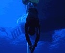 İnsanın inanılması güç derinliklere nefesini tutarak daldığı serbest dalış sporunun tarihi çok eskilere dayanır. Sualtı avcılığı ile insanların geçimini sürdürmeleri amacıyla başlayan bu spor sualtı avcılığının çok ötesine geçip günümüzde limitlerini keşfetmek isteyen bir grup serbest dalıcı tarafından ayrı bir […]