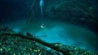 Bu inanılmaz görüntüler profesyonel dalgıç Anatoly Beloshchin tarafından çekildi. Usta dalgıç, Meksika sularının derinlerinde yer alan Cenote Angelita mağarasında yaptığı keşif dalışında bu inalımaz görüntüleri elde etti. Denizin ortalama 60 metre derinliğinde akan bu nehir gerçekten görenleri hayrete düşürüyor. ‘Doğa […]