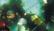 Tüm çevre felaketlerine rağmen Marmara Denizi’nin halen yaşadığına dikkat çekmek için bu yıl 7. kez düzenlenen “Yaşayan Marmara Sualtı Görüntüleme Festivali” bir ilke sahne oldu. Sualtında gerçekleşen festivalin tanıtım toplantısını muhabirimiz de sualtında takip edip fotoğrafladı. Türkiye’de ilk dünyada üçüncüsü […]