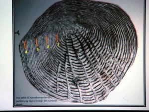 VAN- Van Yüzüncü Yıl Üniversitesi Ziraat Fakültesi Su Ürünleri Bölümü