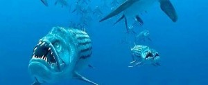 Kanada’nın Manitoba eyaletindeki bir kazı alanında 80 milyon yıl öncesine